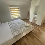 Borex * Traù