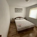 Borex * Traù