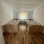 Borex Apartamento *