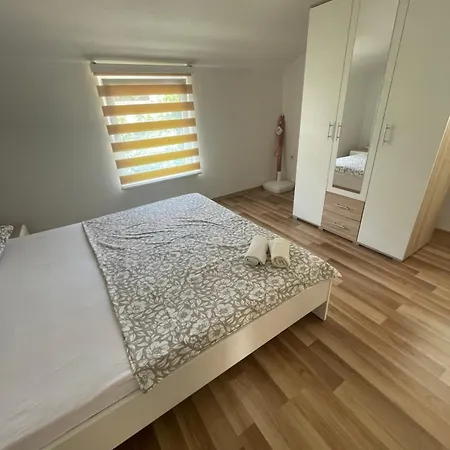 Borex * تروغير