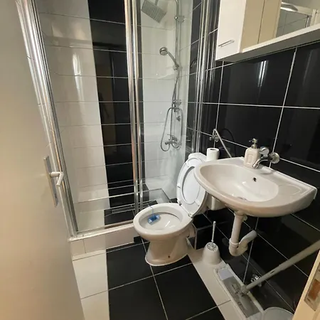 Borex * تروغير