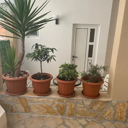 Apartment Borex *