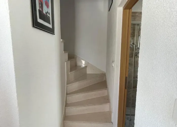 Apartment Borex