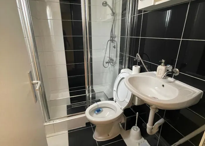 Borex * تروغير