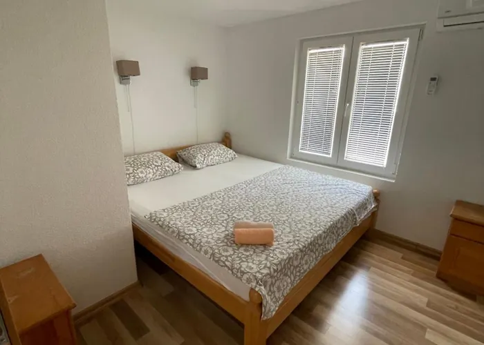 Borex * تروغير